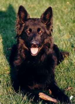 Kira Kopf0001